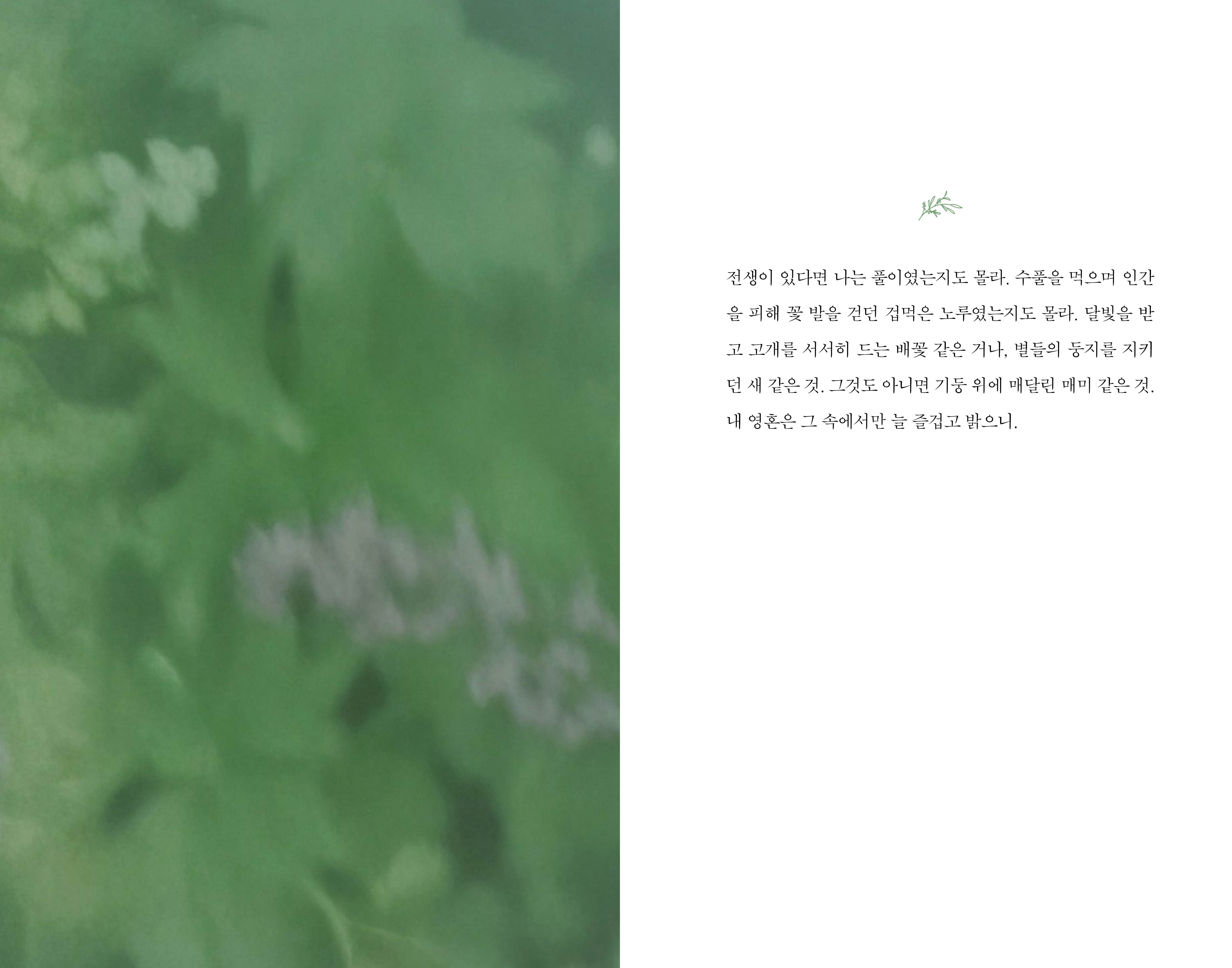 리타의 정원