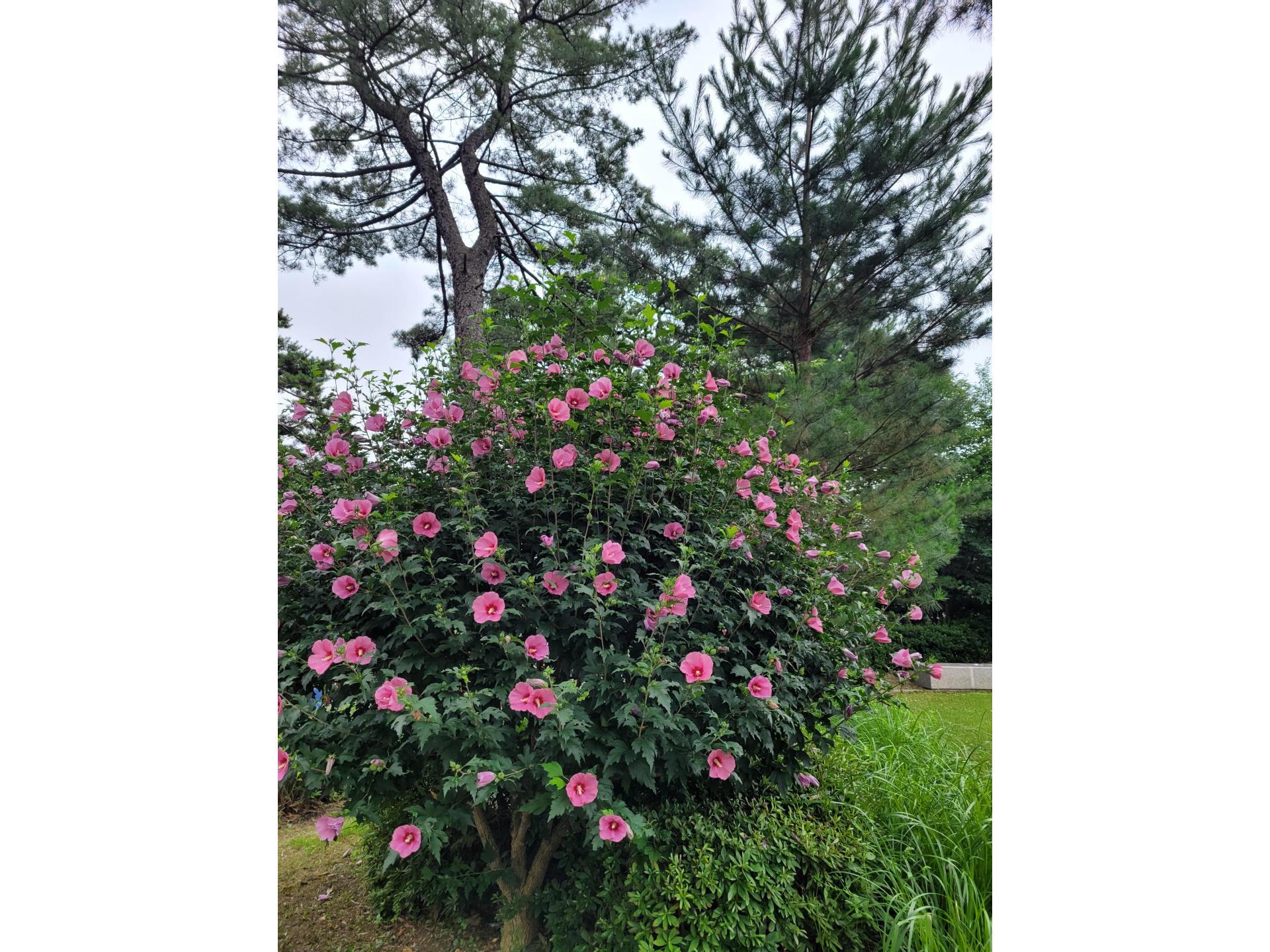 88c45b962ed3b.jpg