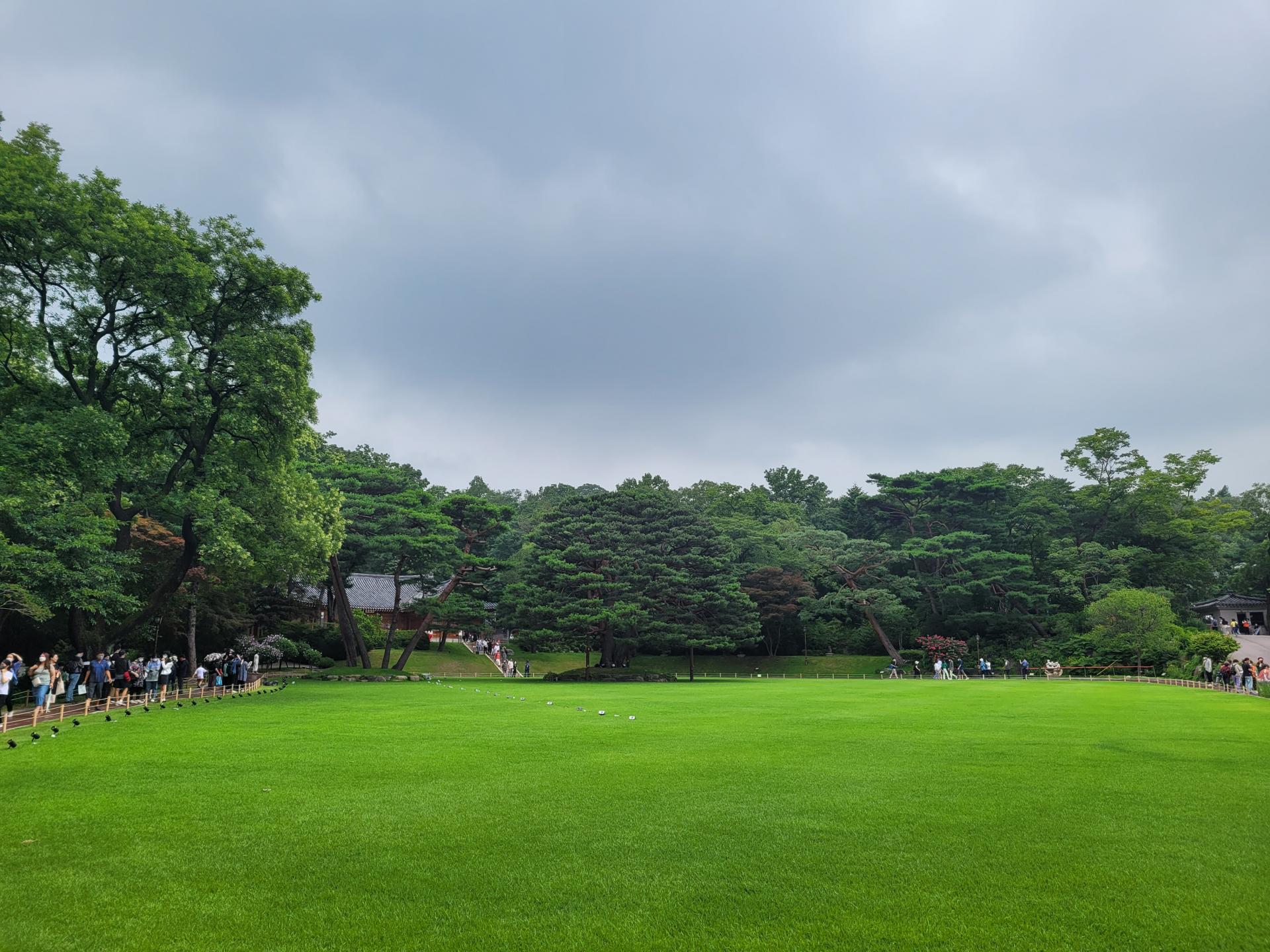 f856f146516f0.jpg