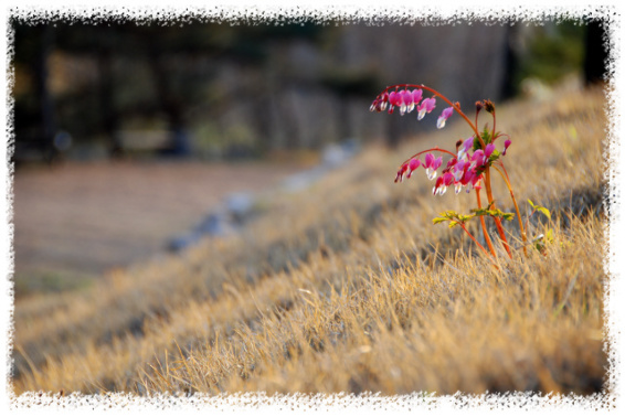 05bfa58f457de.jpg