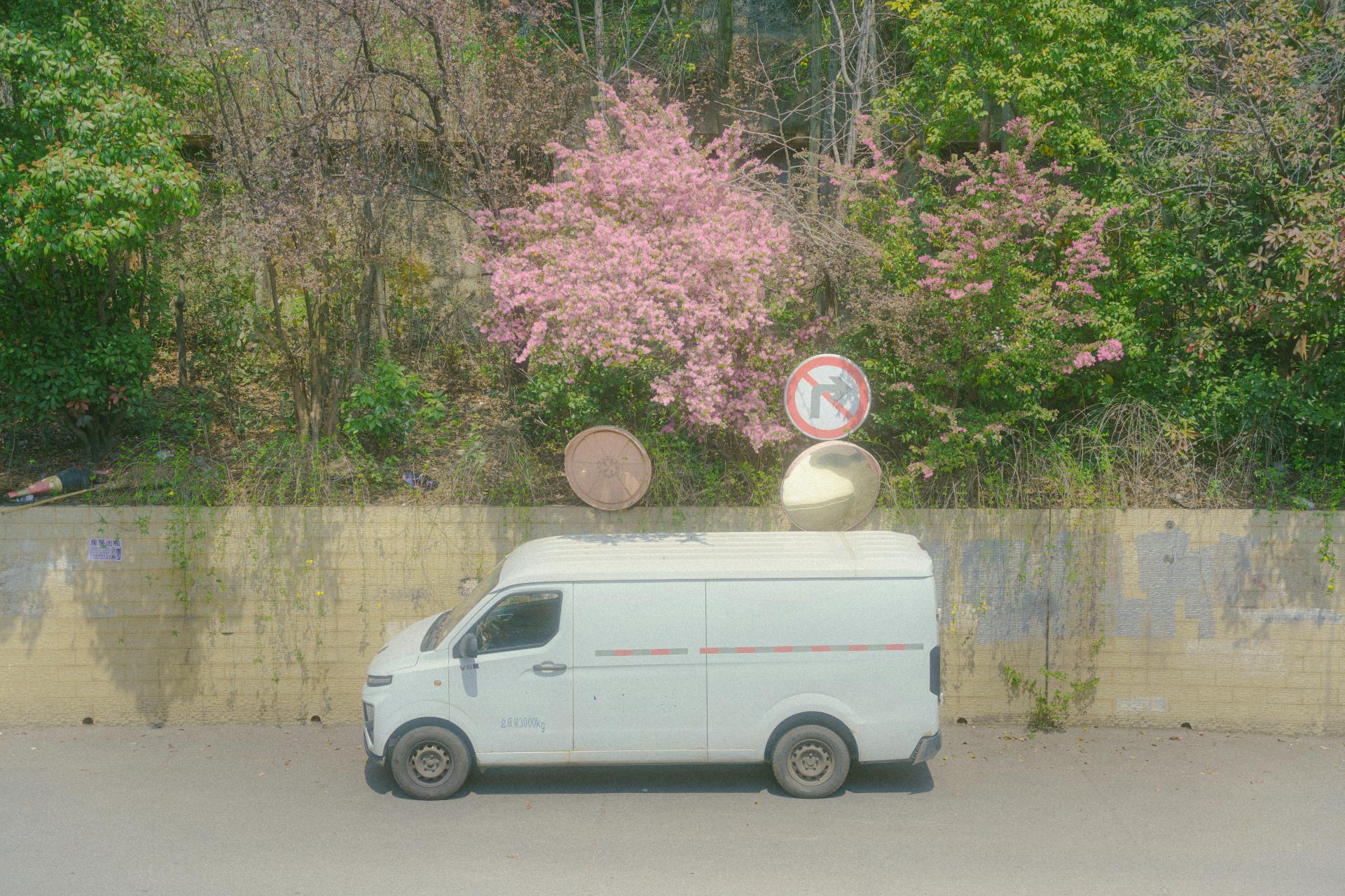 0f23b4df7493d.jpg