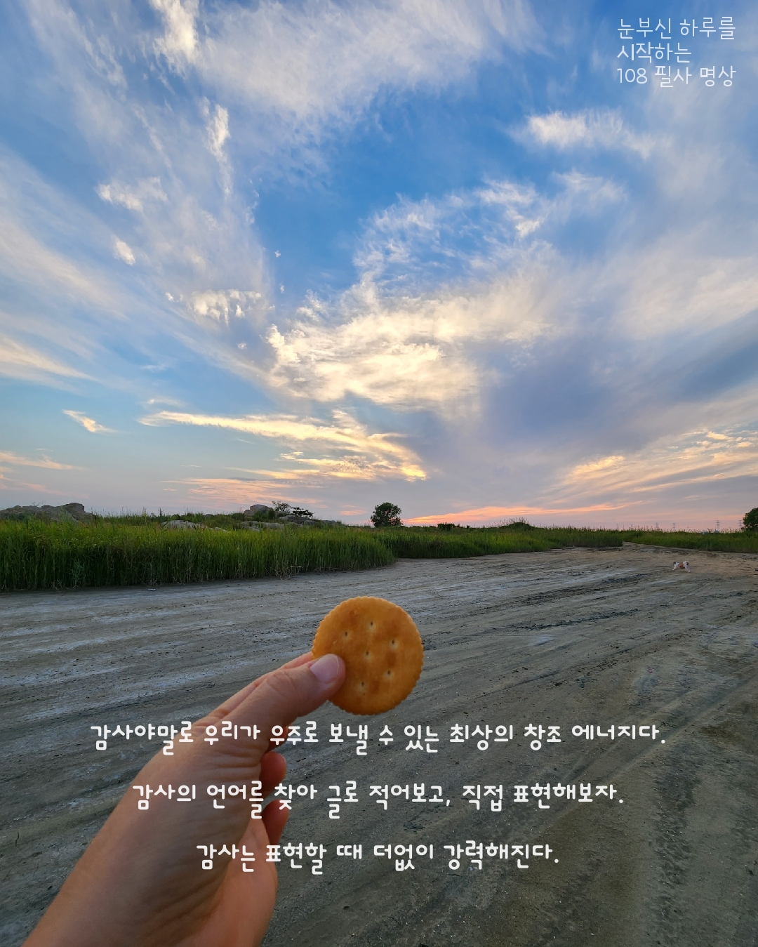 15ca2103c1d79.jpg