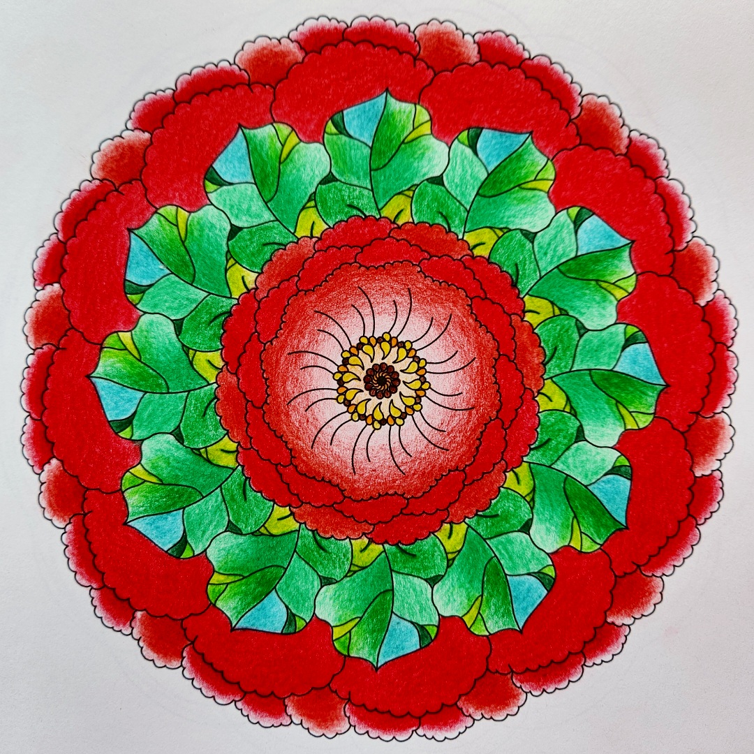 1a2003841176b.jpg