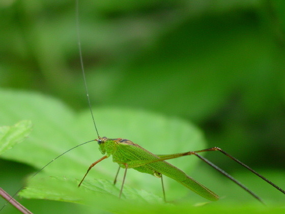 22d54da22439e.jpg
