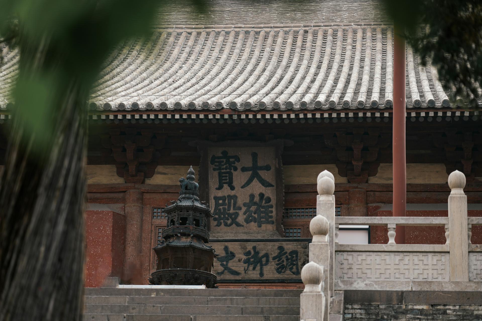 24a7de84cb015.jpg
