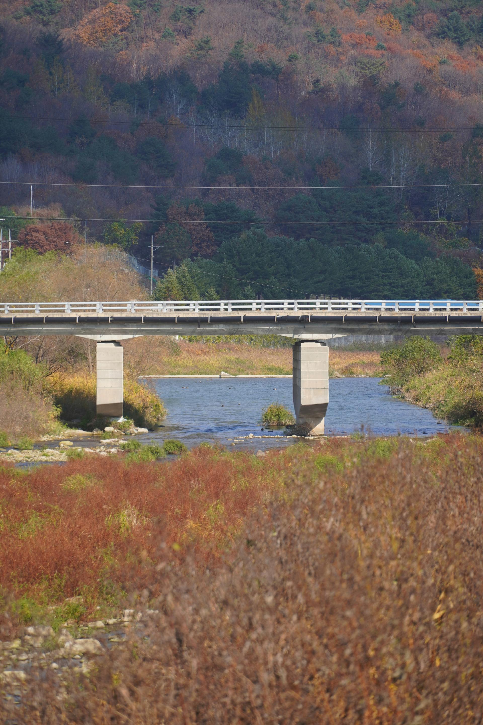 2c08072a02ff4.jpg