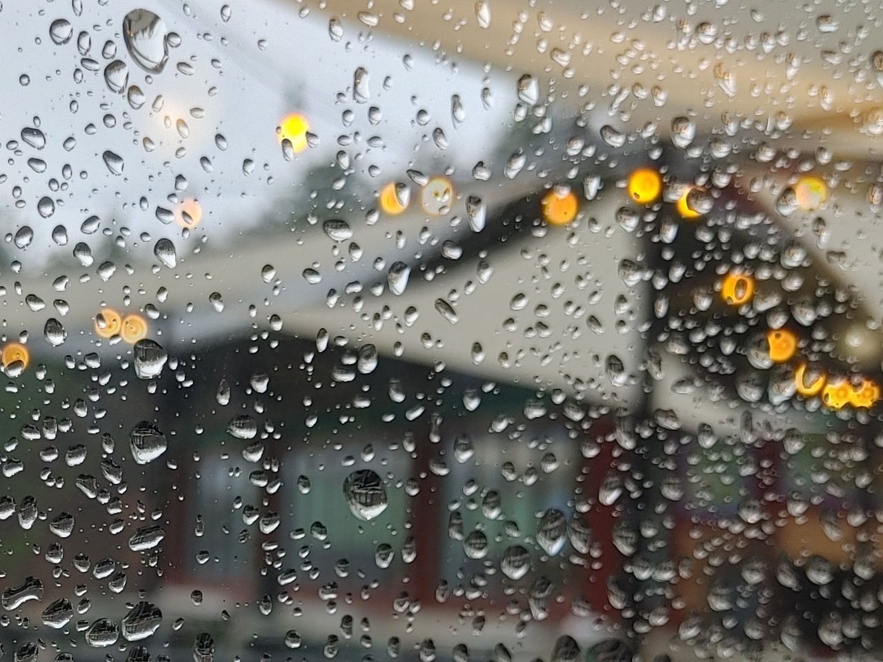 2dda299d9f818.jpg