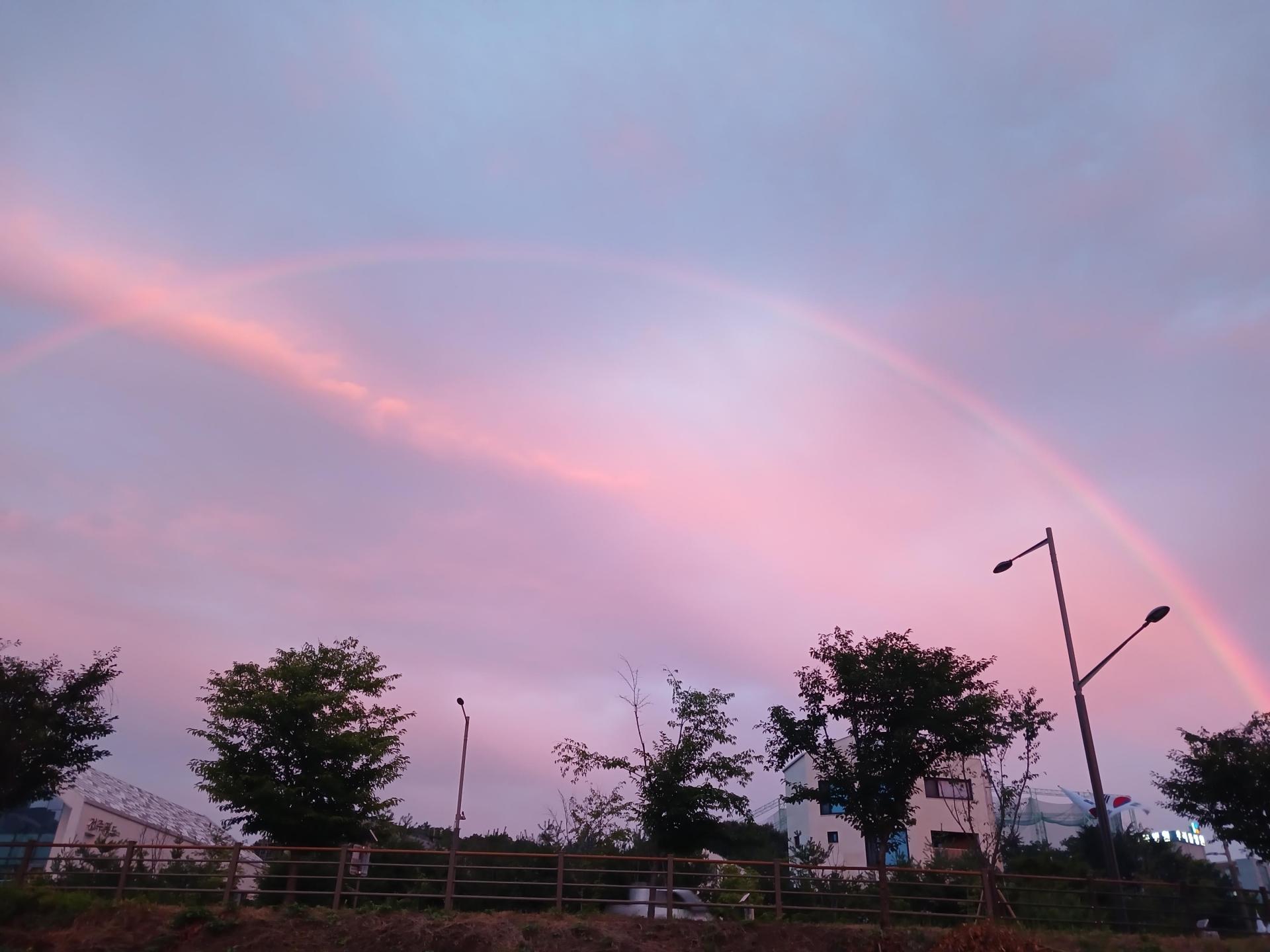 329f8ebe72197.jpg