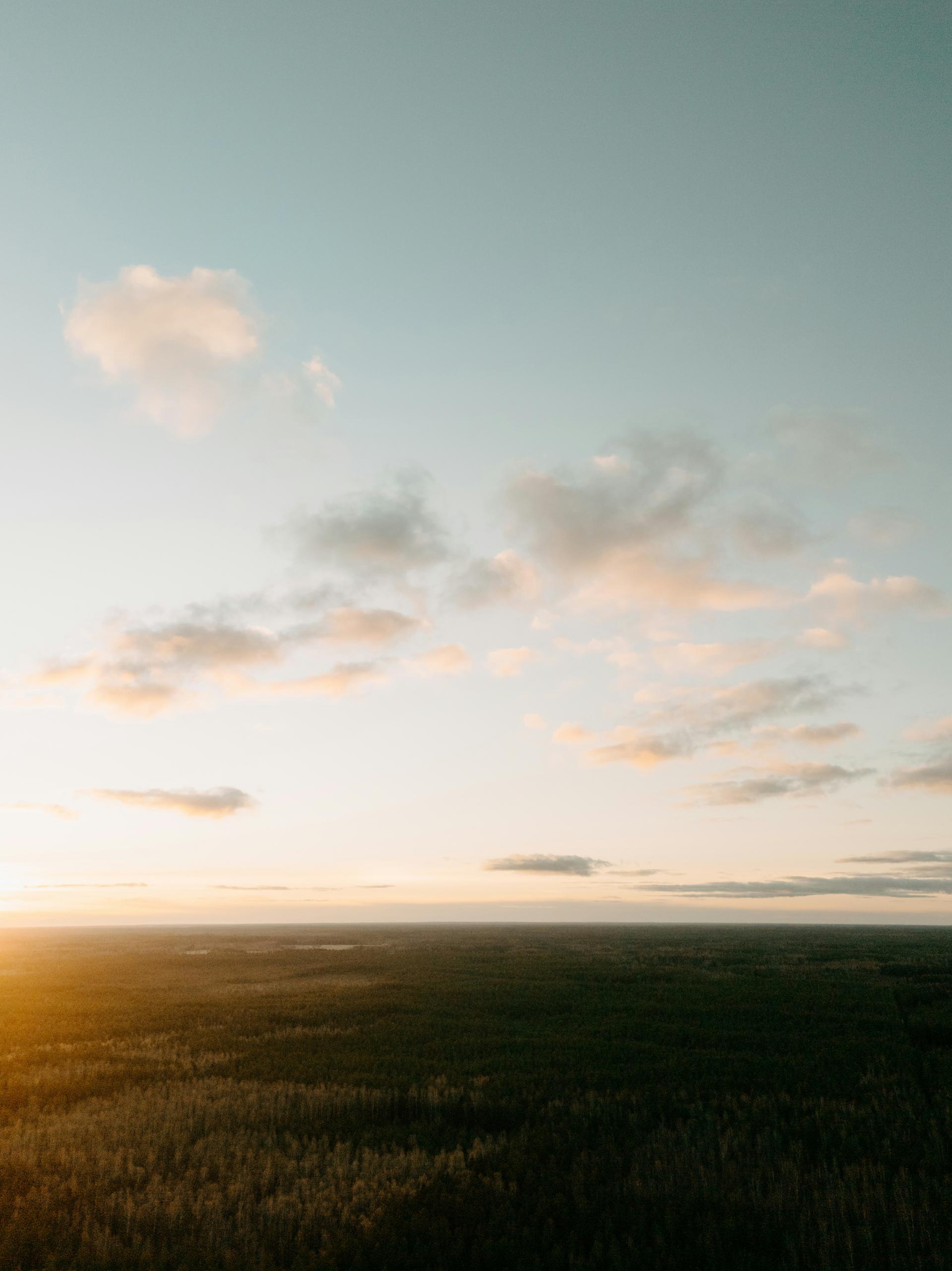 7d5d6e421874a.jpg
