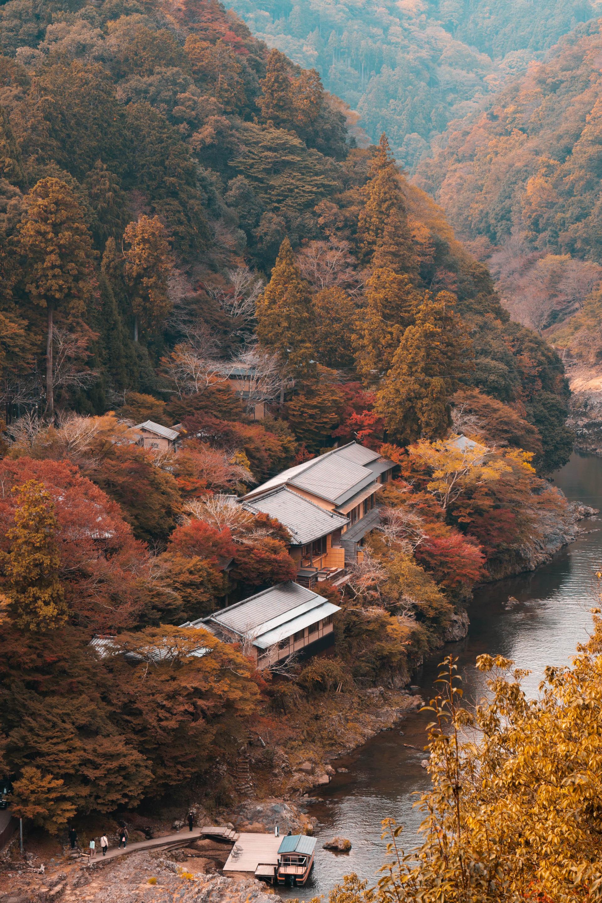 해탈, 열반, 불성, 자성, 주인공, 본래면목이라는 말 다 빼고, 지금 여기에 무엇이 있는가? : 법상스님글모음