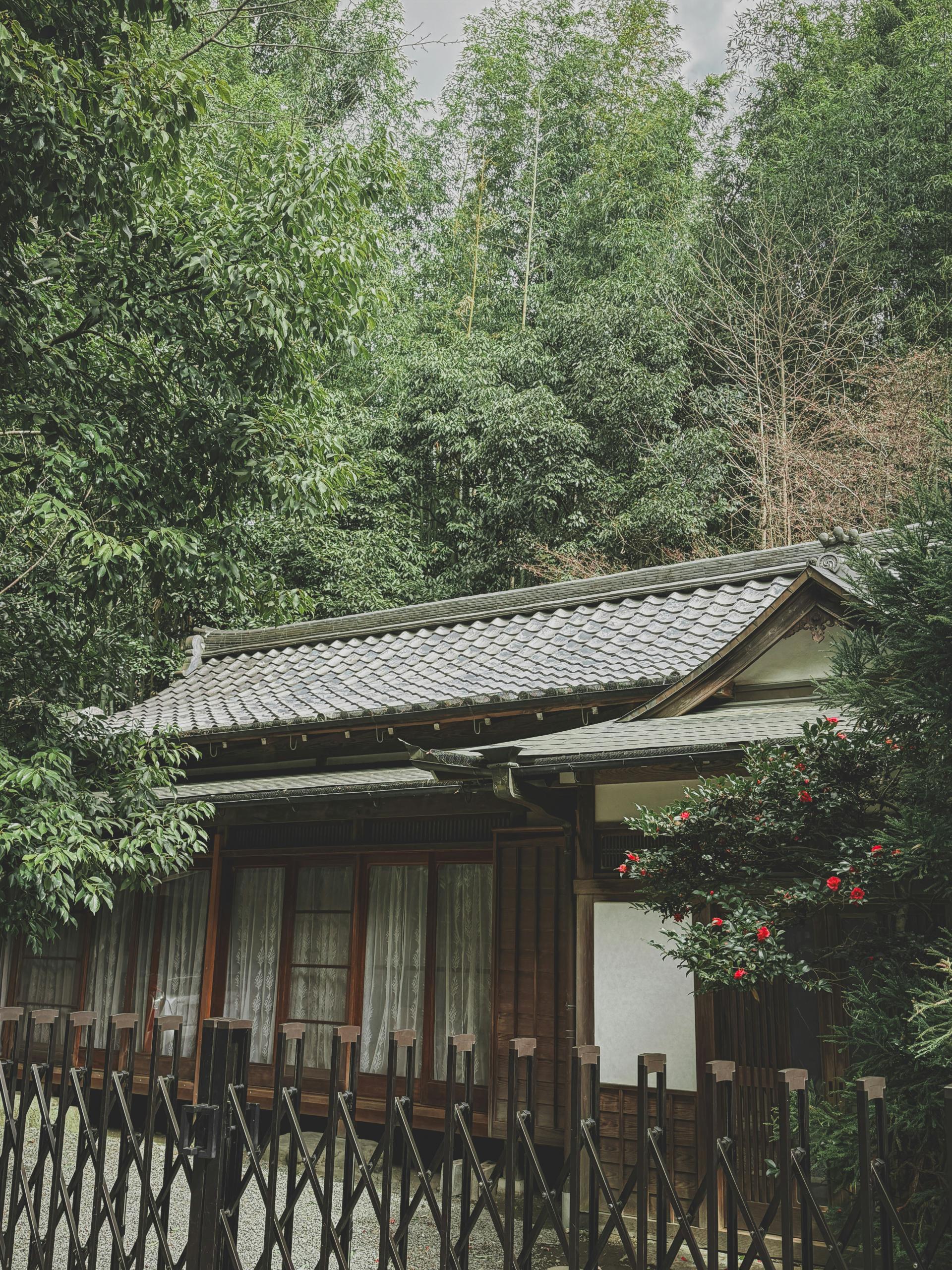 8c1cdc0e0cd4d.jpg