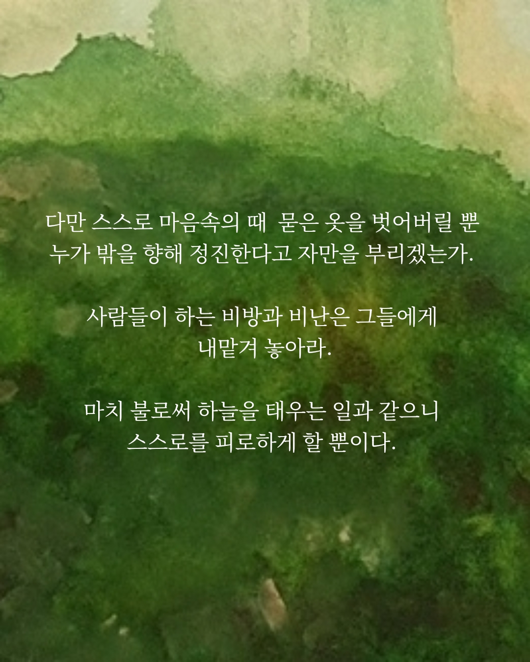 95ef4be123a0a.jpg