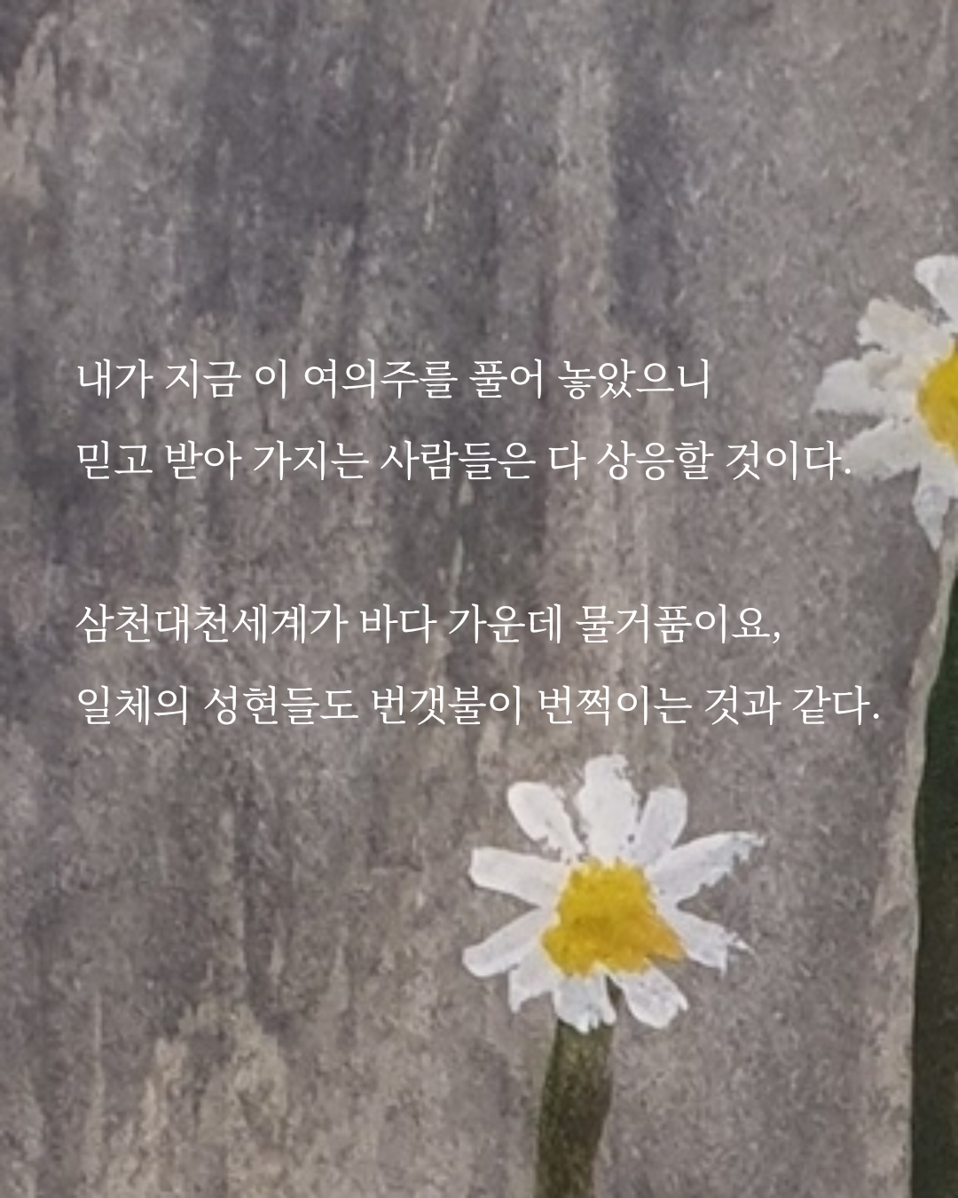 a3707a390975e.jpg