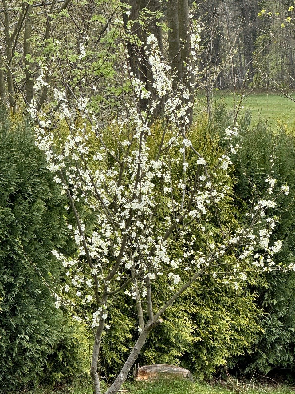 b456c6ca1155a.jpg