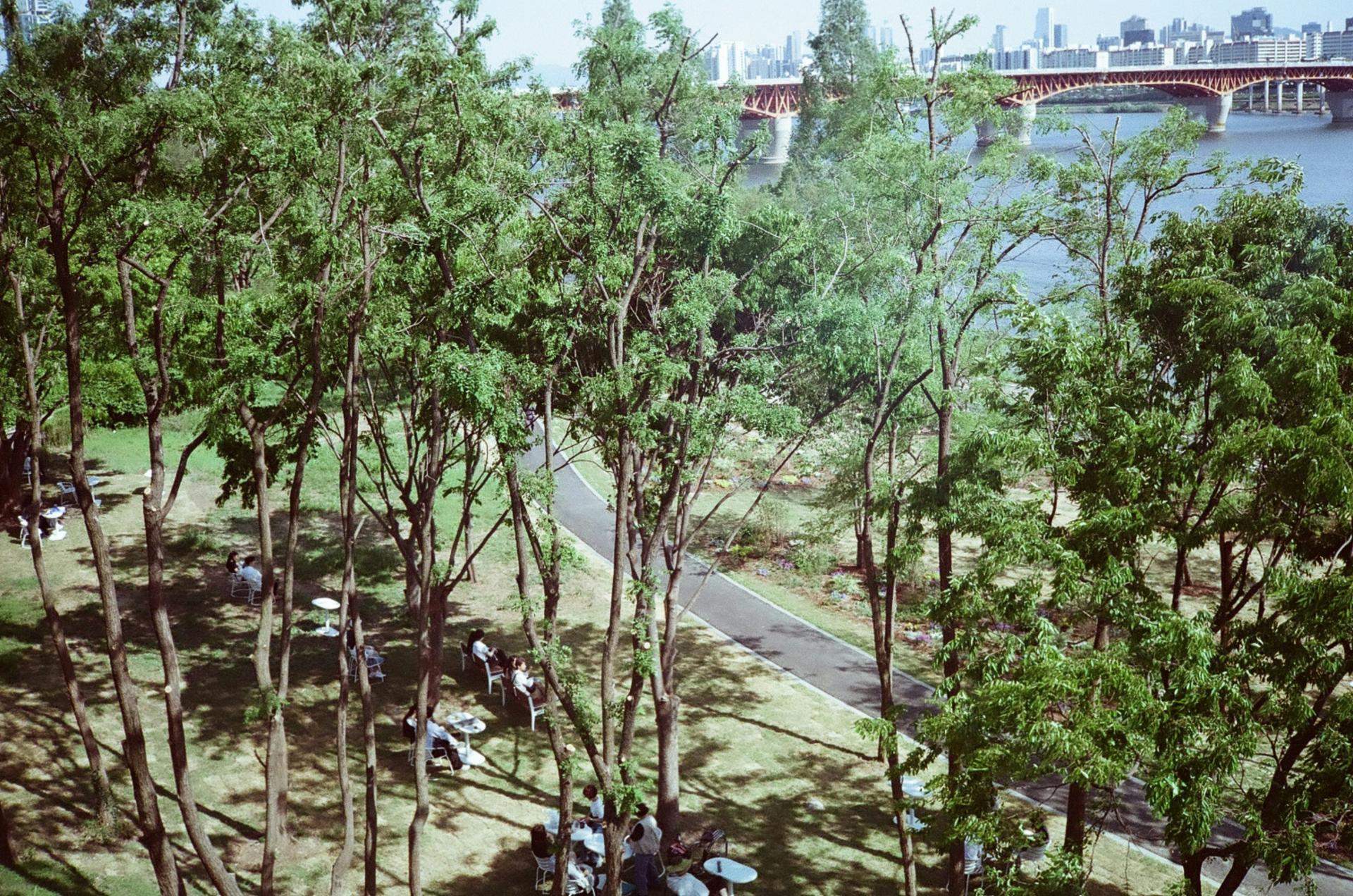 bfa0a5f0a0081.jpg