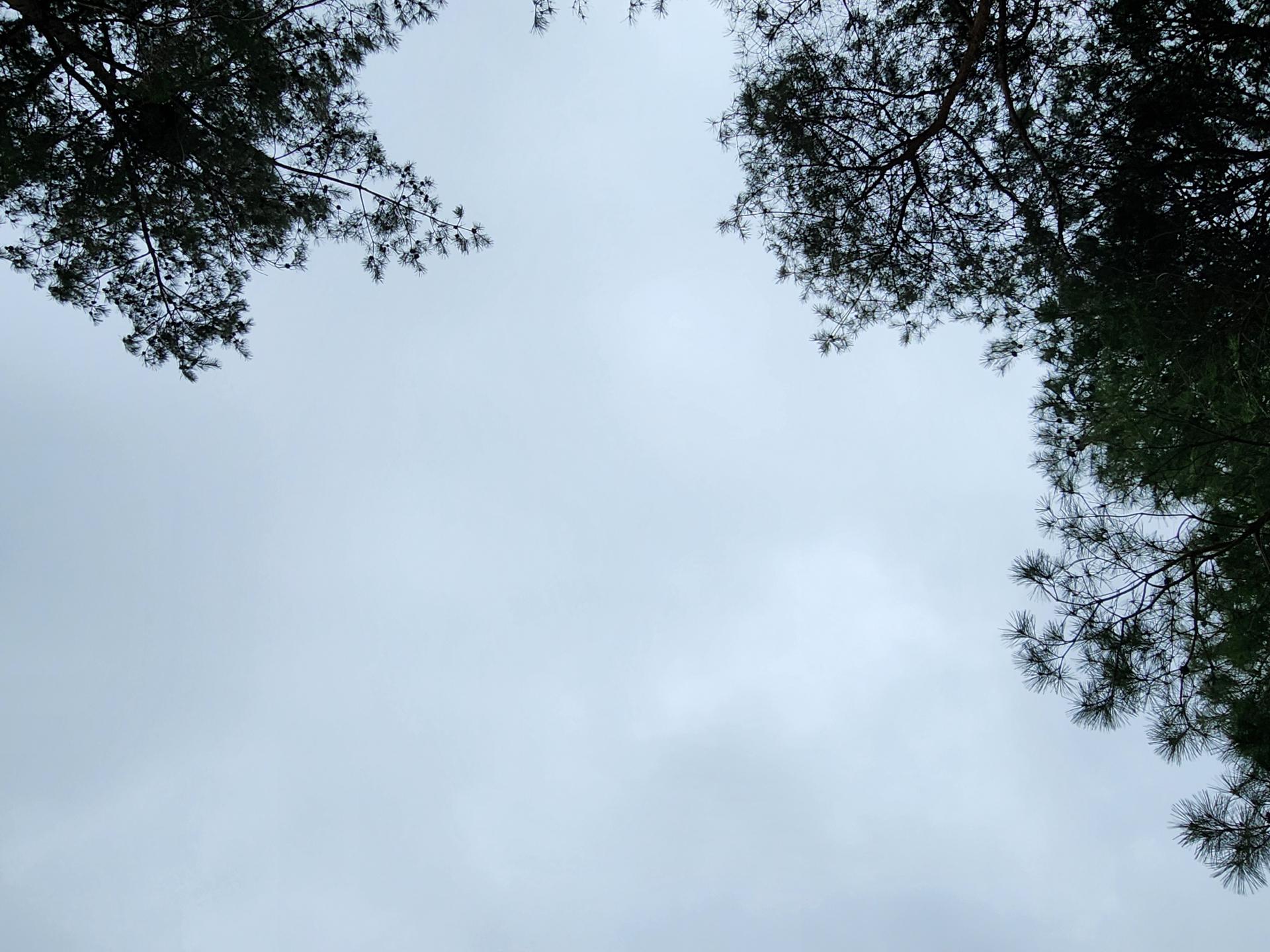 c0133c859ed48.jpg