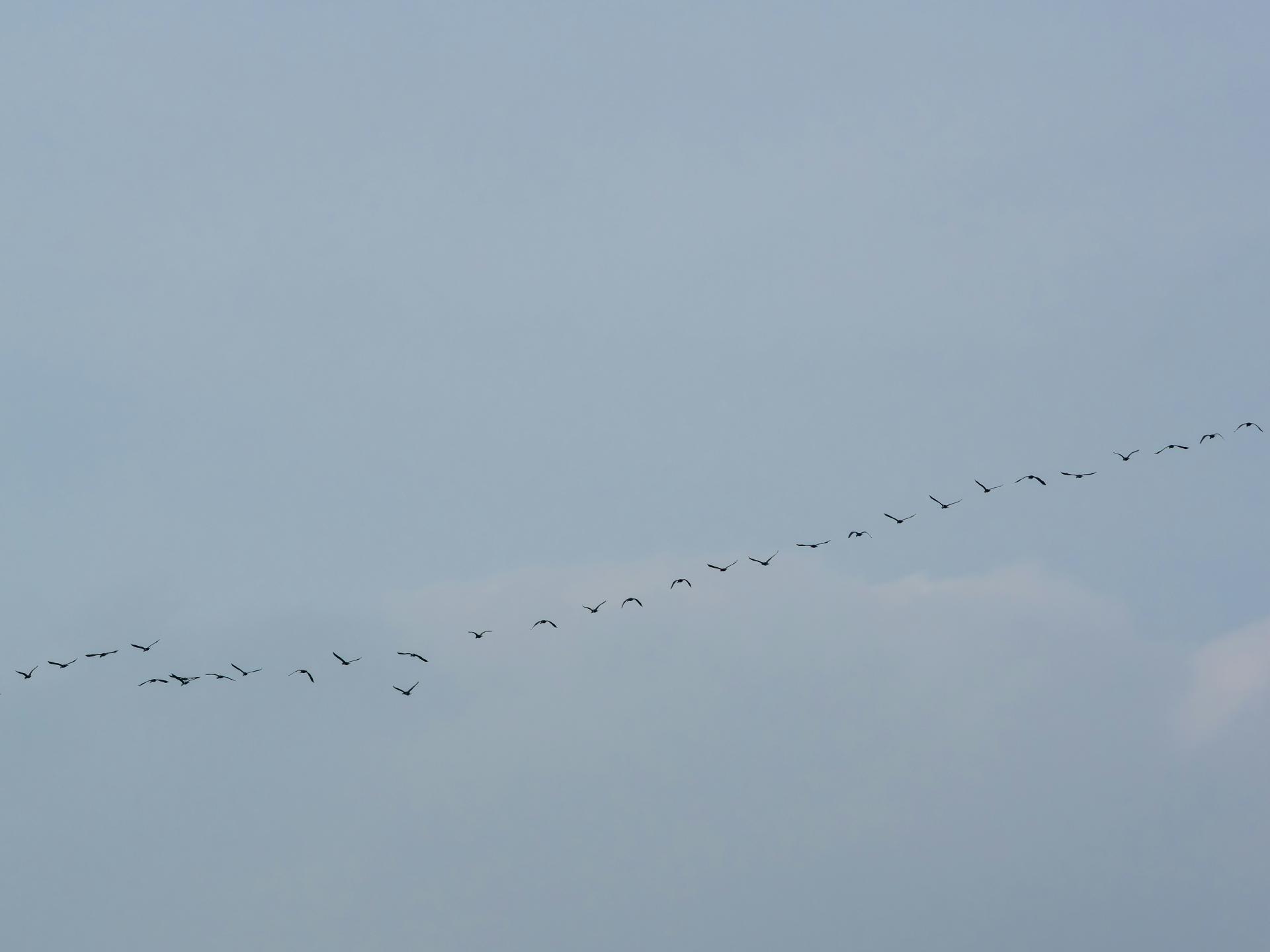 c7d74831c1c08.jpg