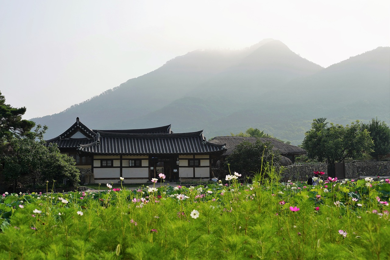 cf29920ff1b66.jpg