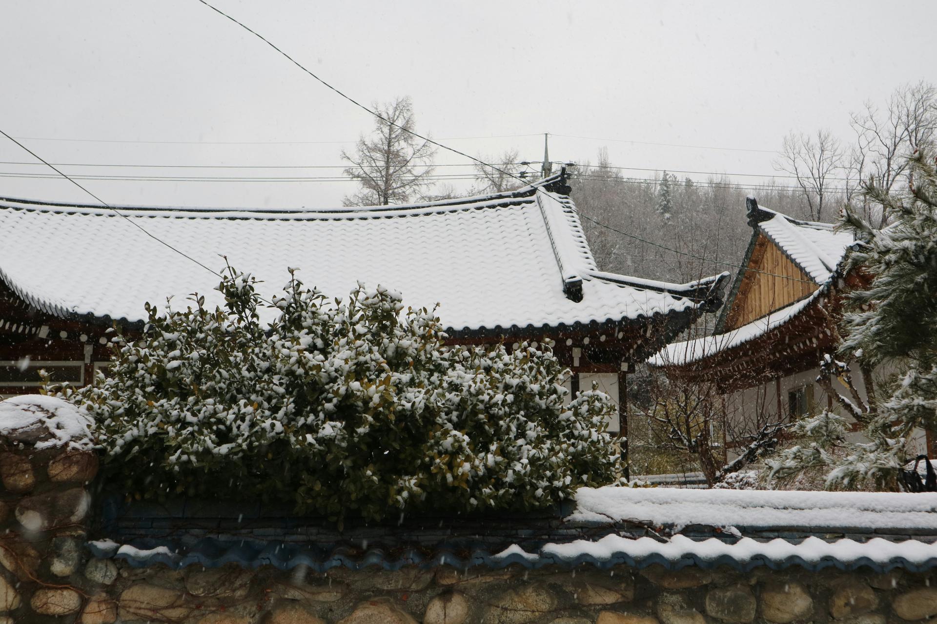 d5863677dacad.jpg