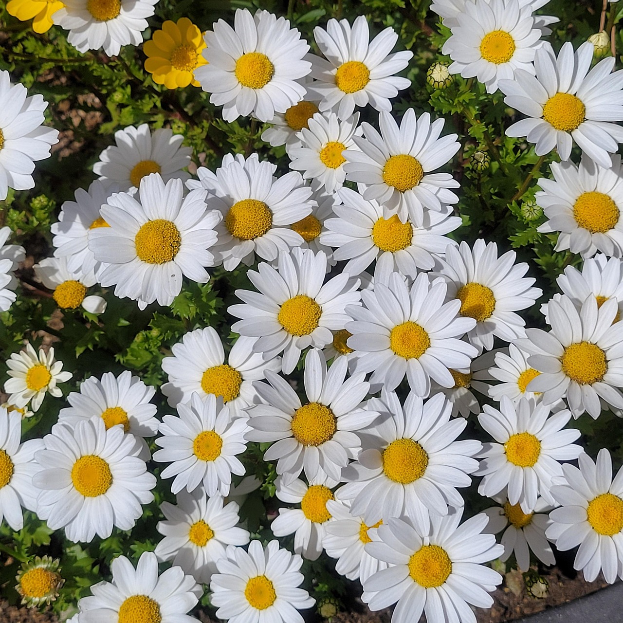 d5bcc410fd8a0.jpg