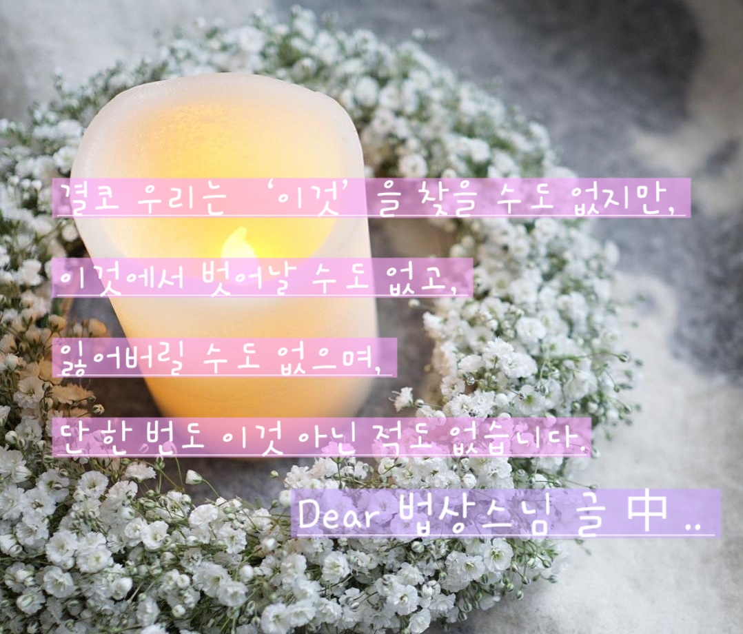 ef3d538b408f5.jpg