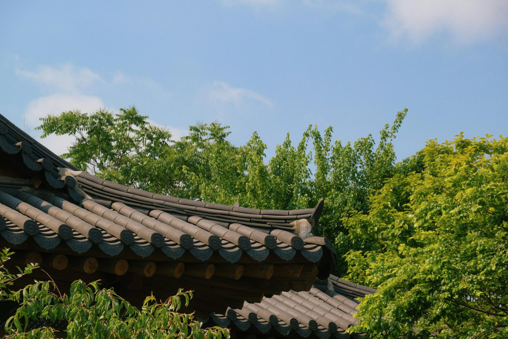 f05074fa812a1.jpg