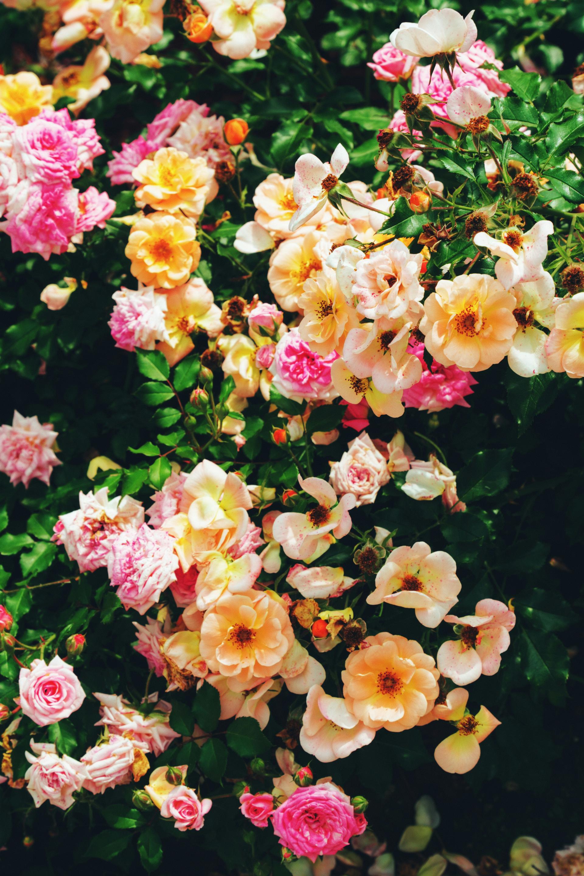 f08d04c006f44.jpg
