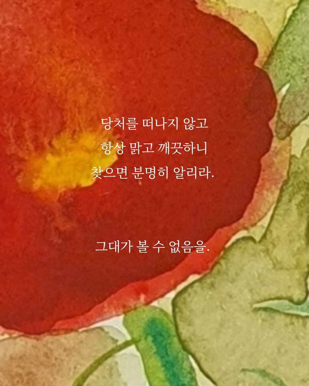 f662f887474b9.jpg