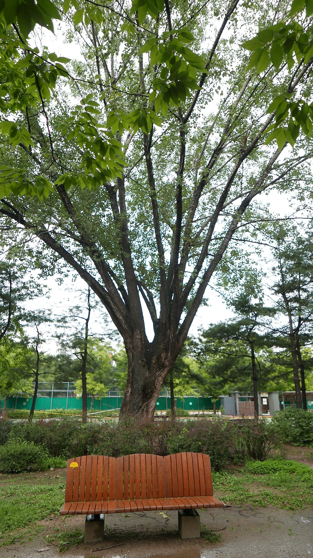 4f4a2d6f28790.png