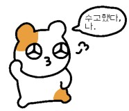 3e90dd5f9c059.jpg