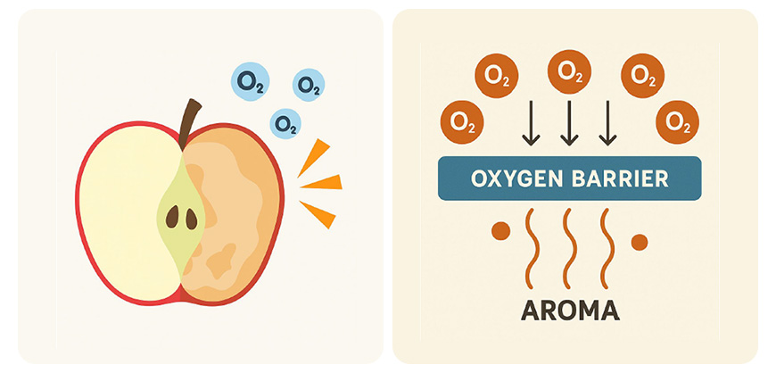 산소차단의 필요성 설명 이미지