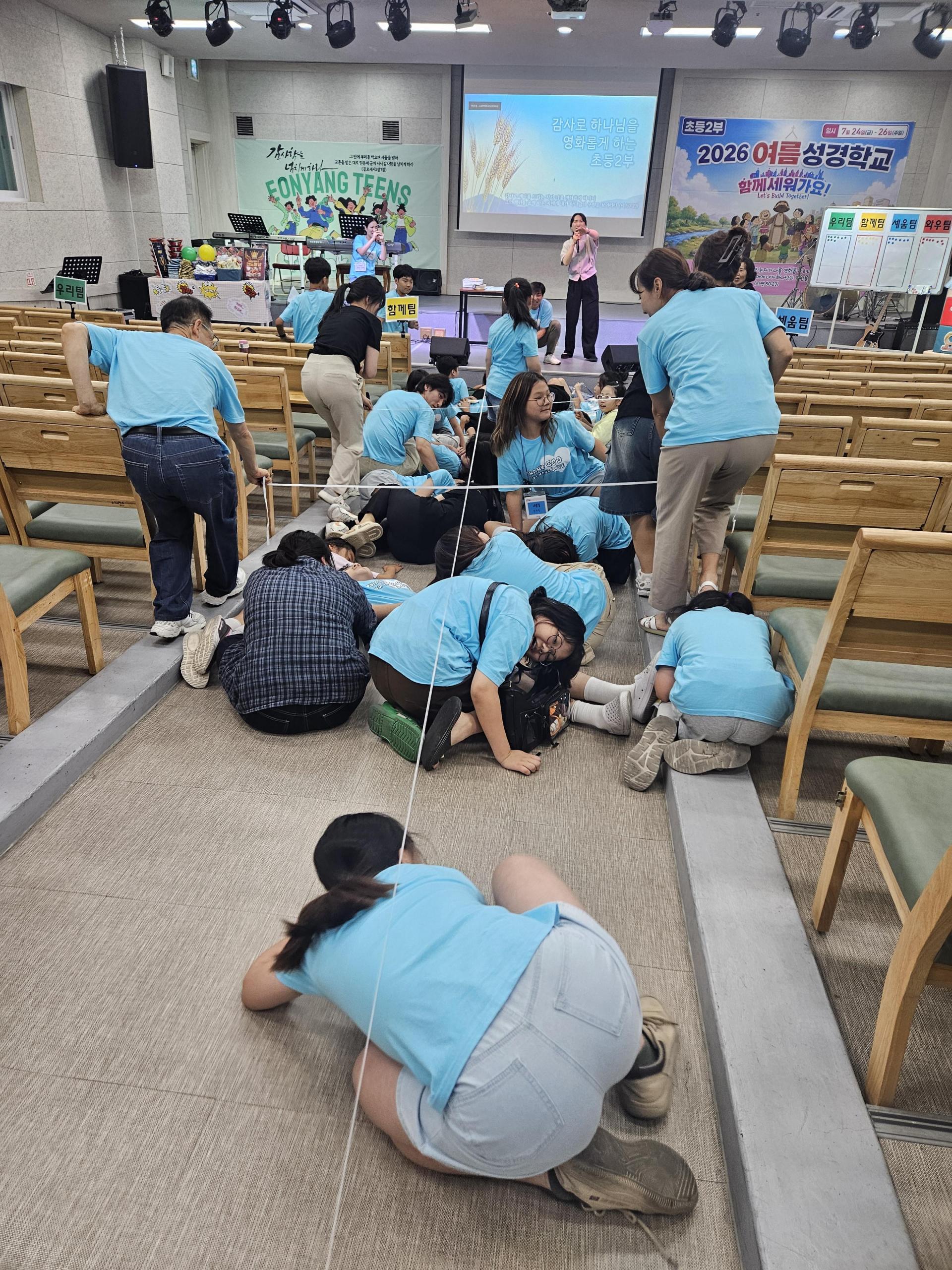 bcc69ea79d462.jpg