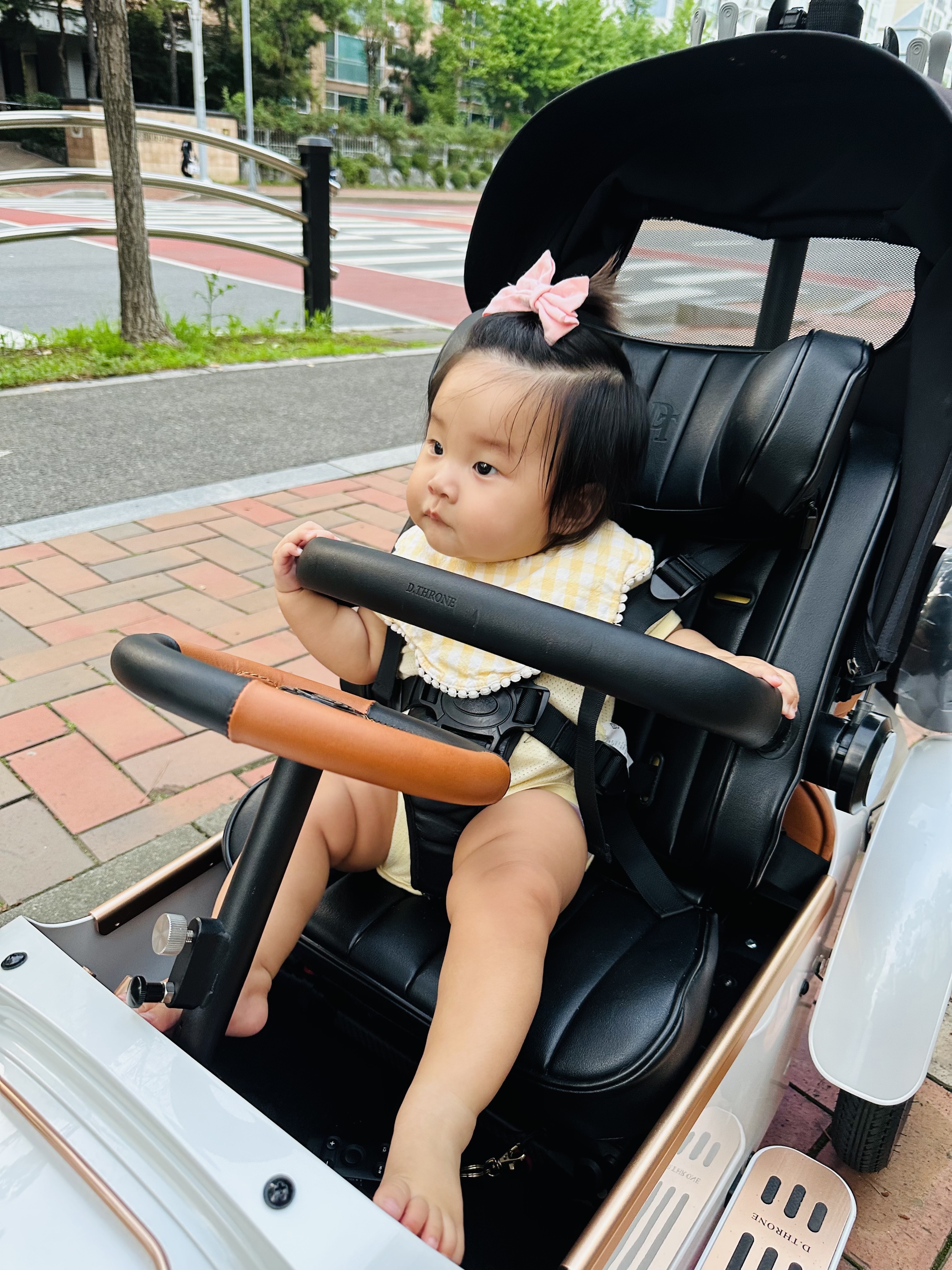 7381ae3a8ae85.jpeg
