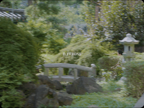 93603025a4d6f.gif