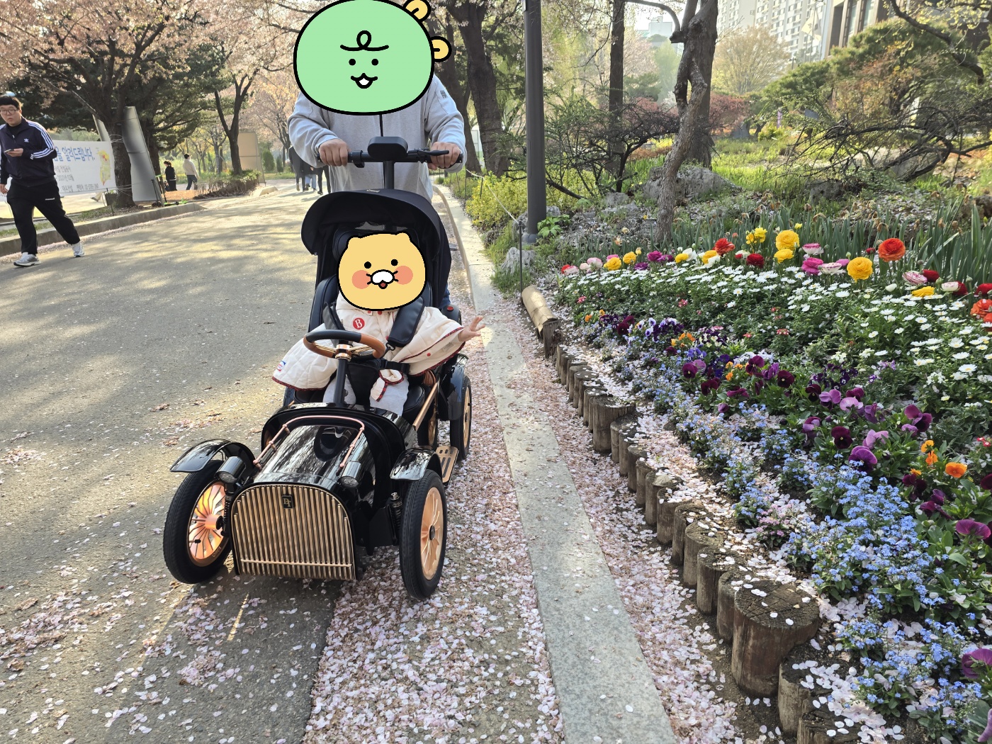 ef3e783ed54a9.jpg