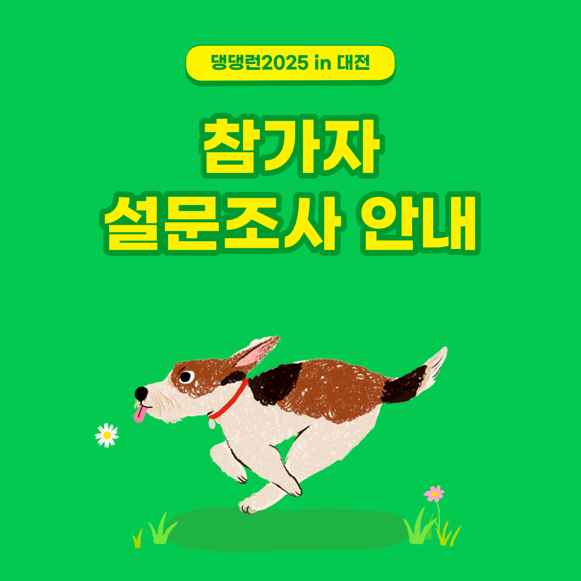 91f0cca40b01d.png