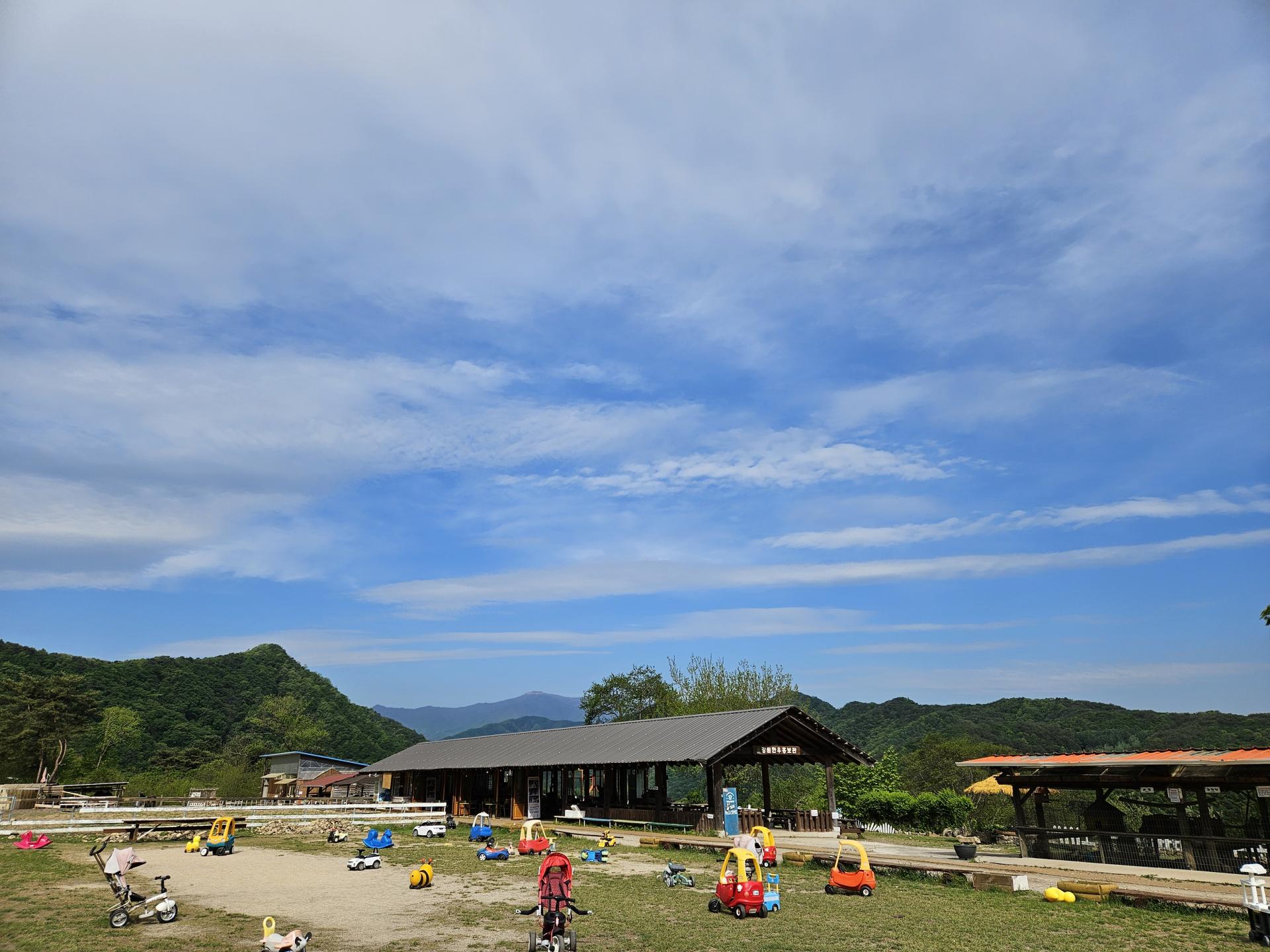 49057f065d421.jpg