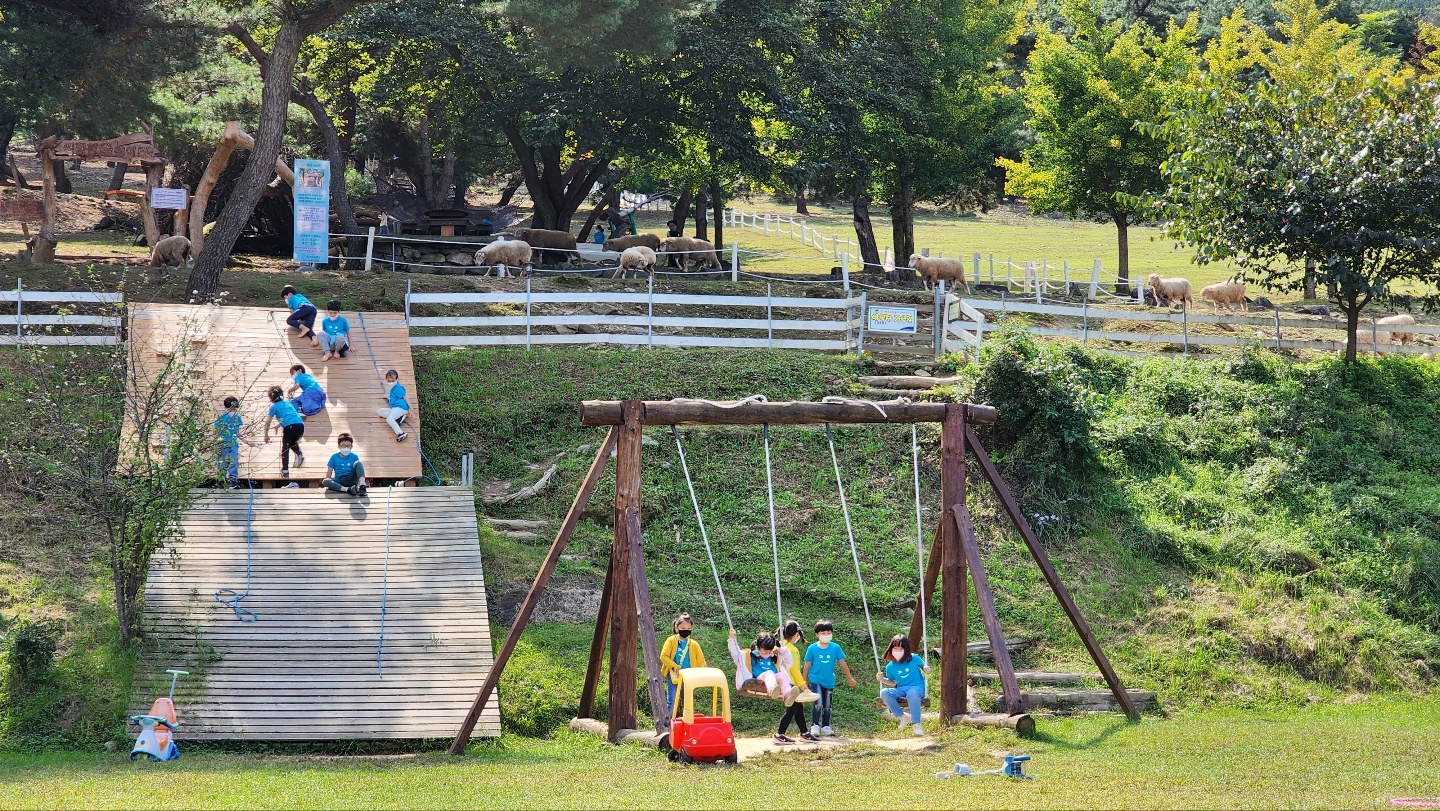 567e6e4831220.jpg