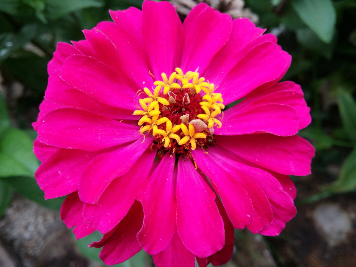 87f2864920a04.png