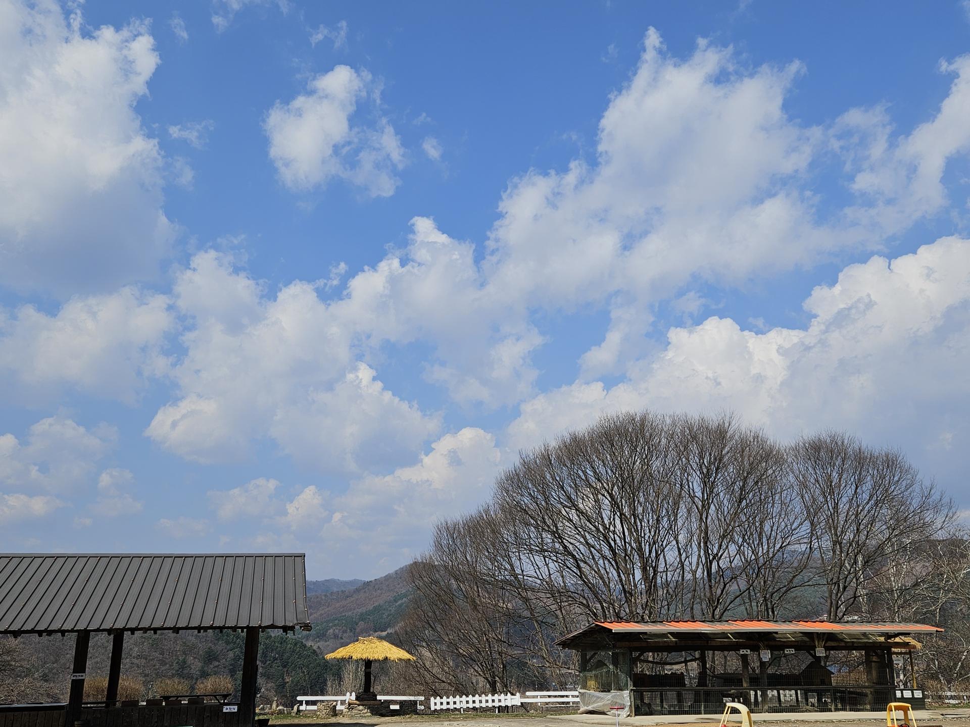 a381728f792f8.jpg