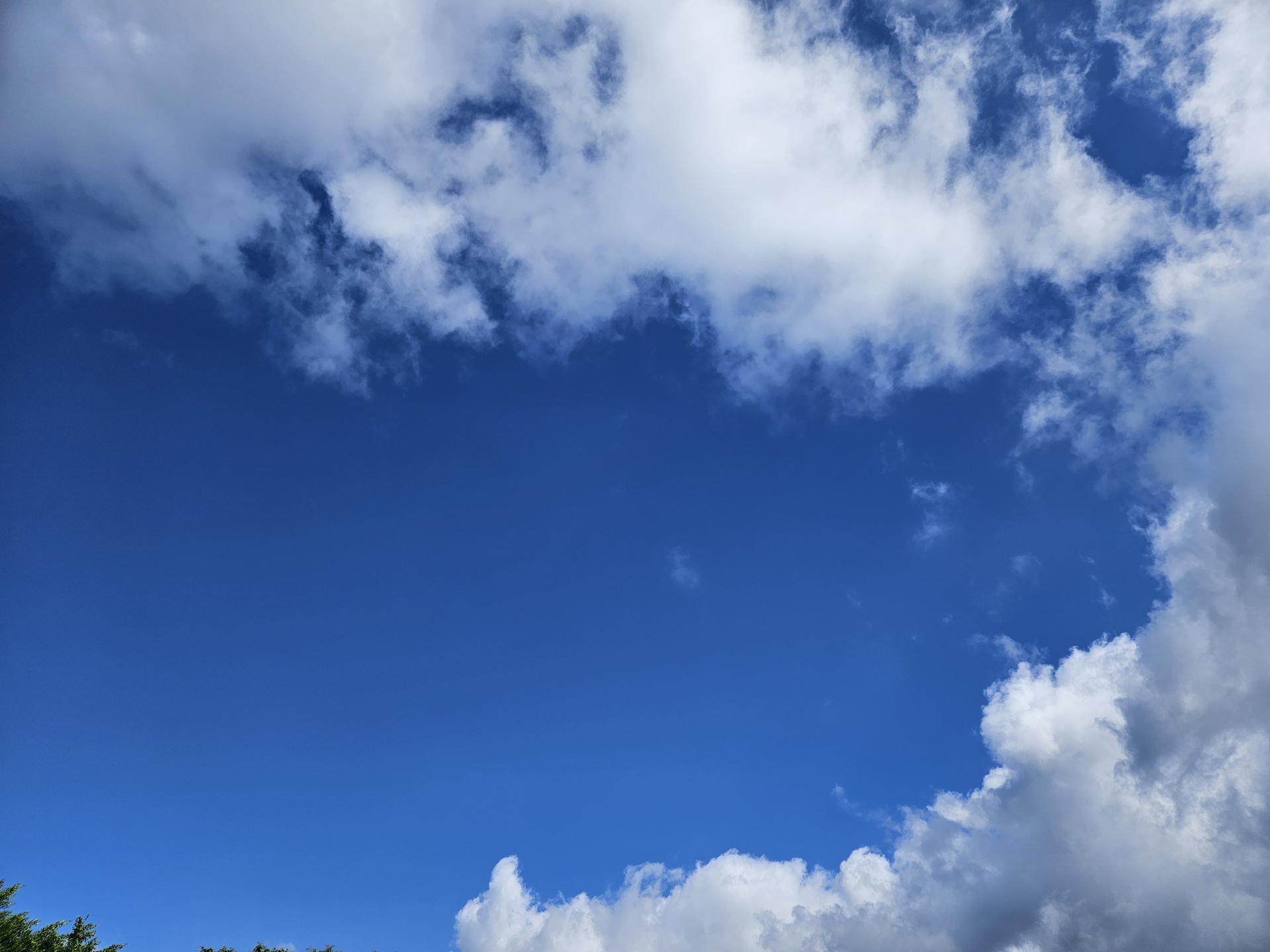 b960b9a890483.jpg