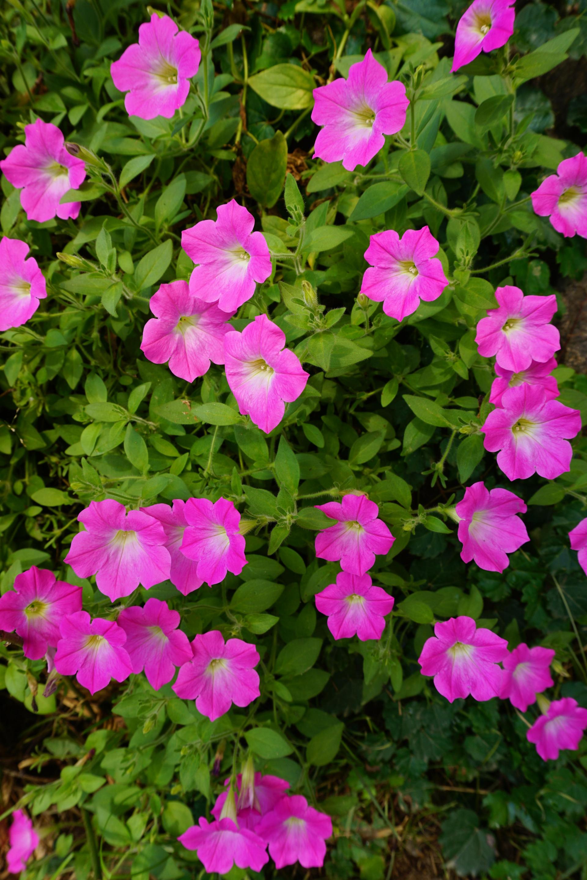 c214f782e52bb.jpg