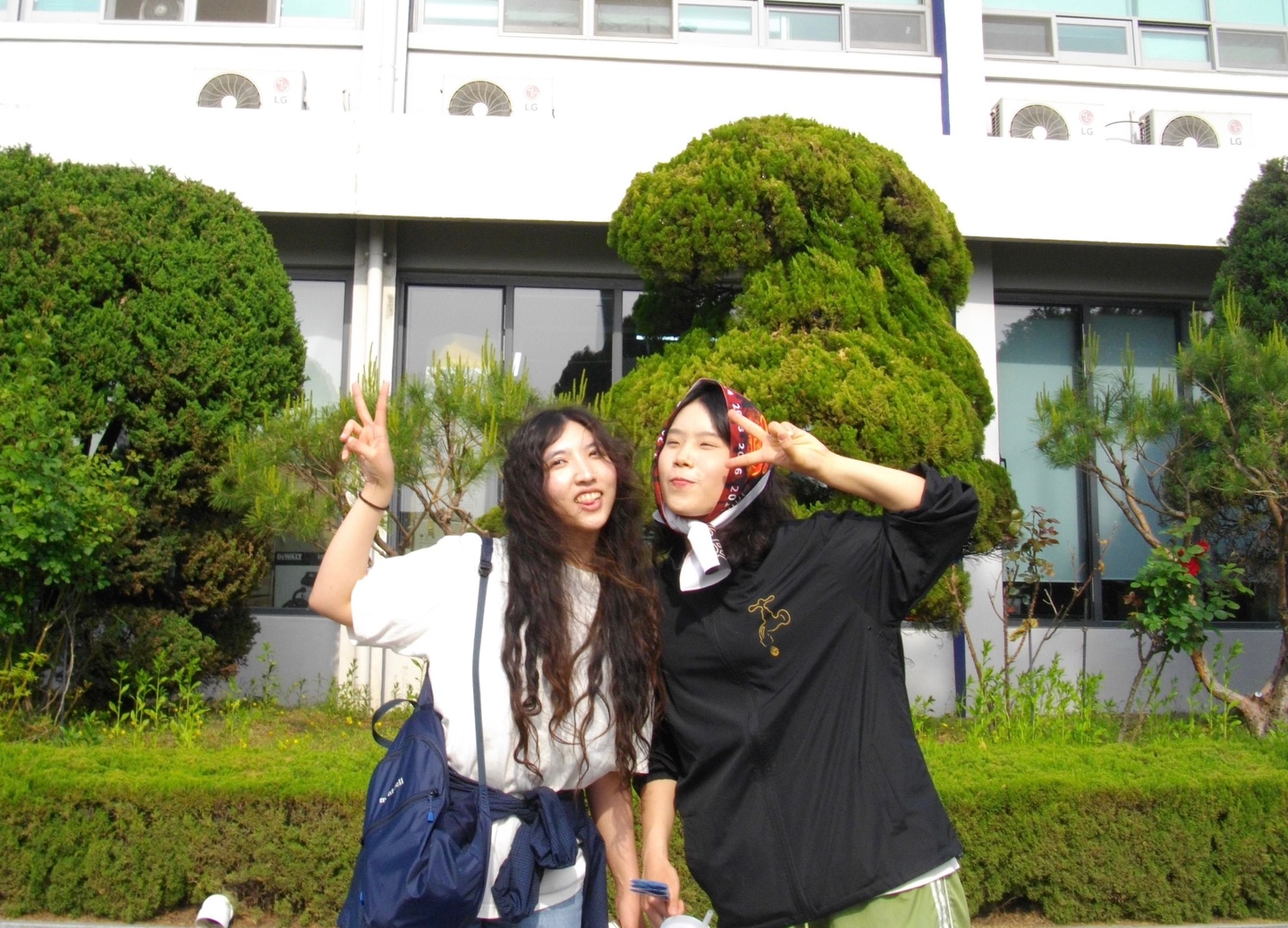 10f52a3fdd061.jpg