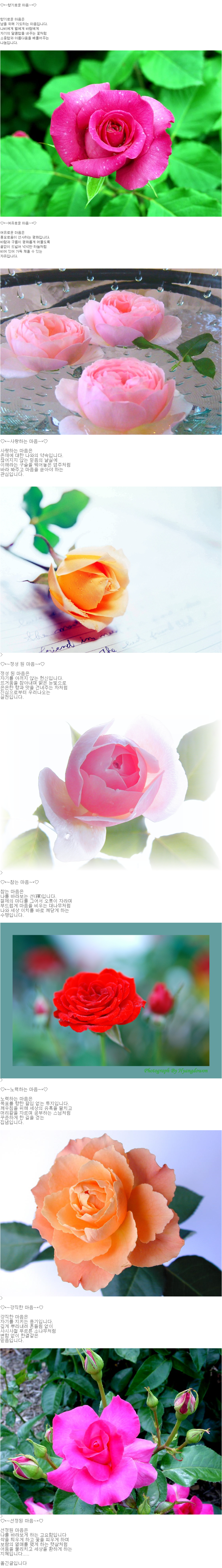 594608bdac4c3.png