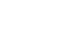 총생