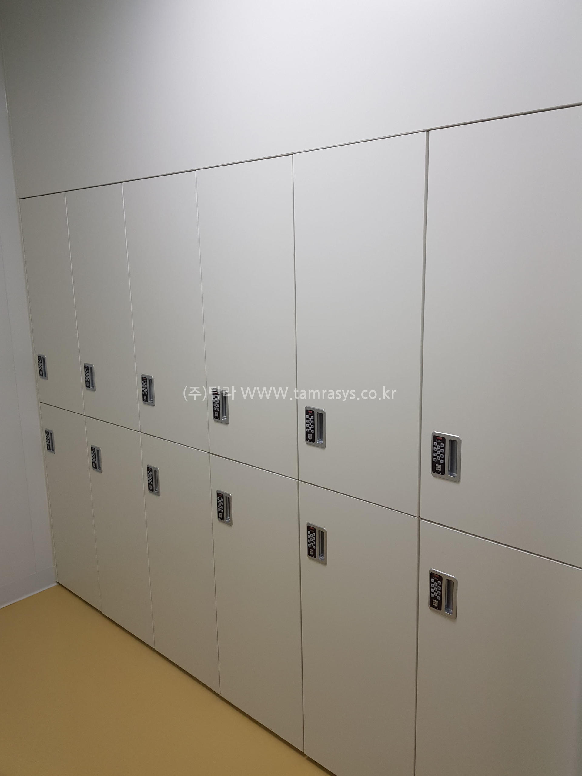 TO 301 AP (헬릭스미스) : 주식회사 탐라