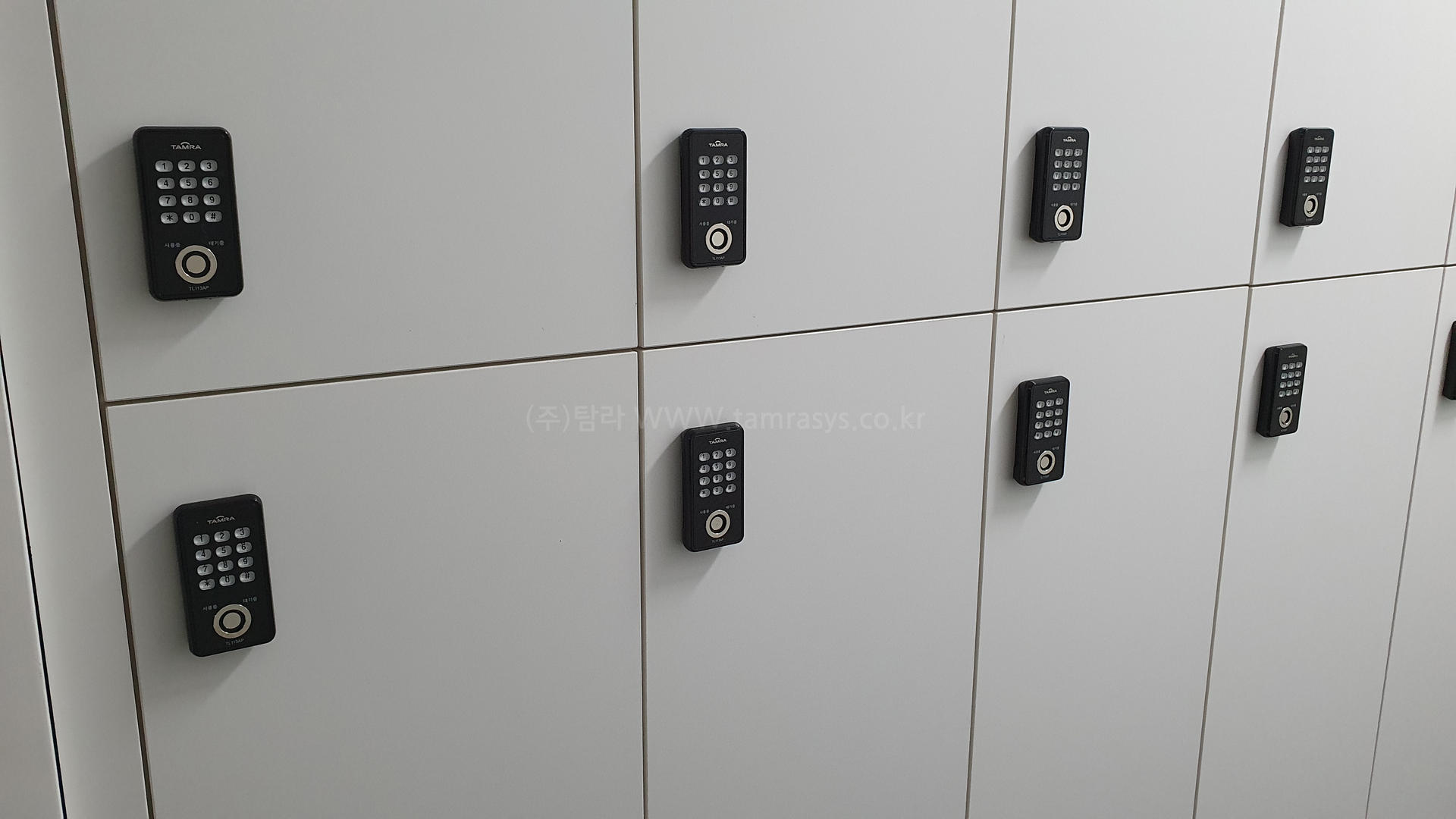 7dd9fd28360ab.jpg