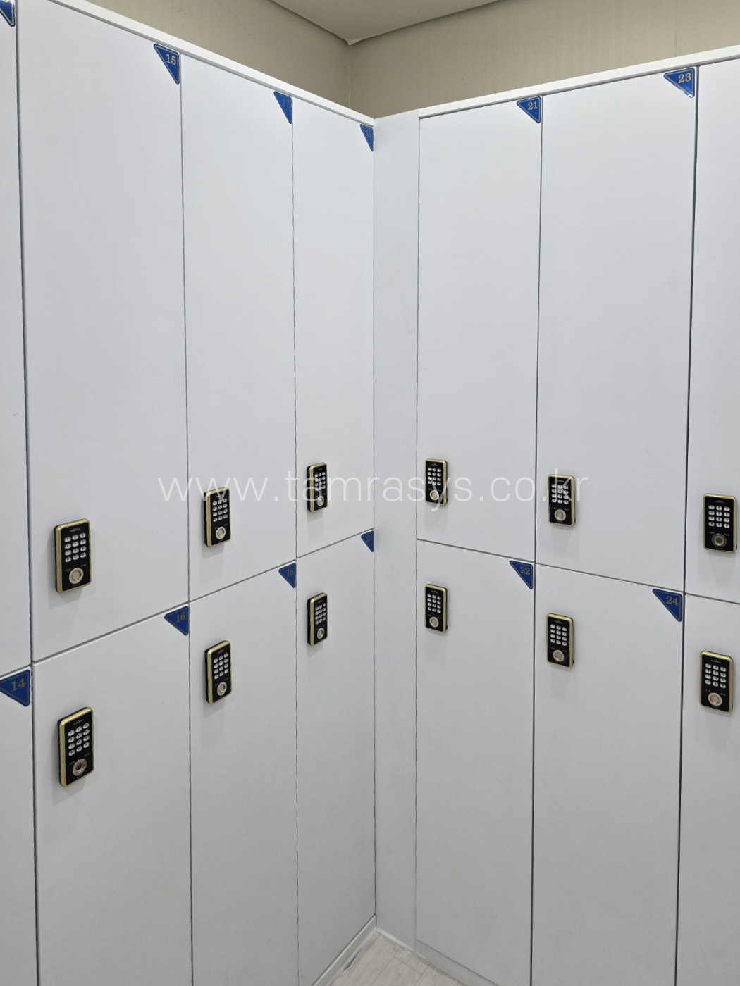 aed31d44366c9.jpg