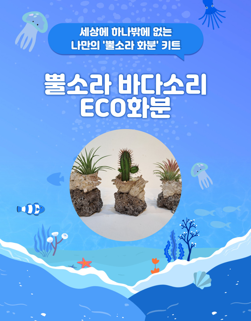 뿔소라 바다소리 ECO화분 키트 : 노리토