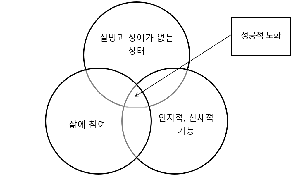 노인관광을 이해하기 위한 성공적 노화의 개념 : 한국융합관광연구소